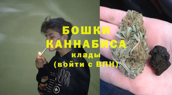дурь Алзамай