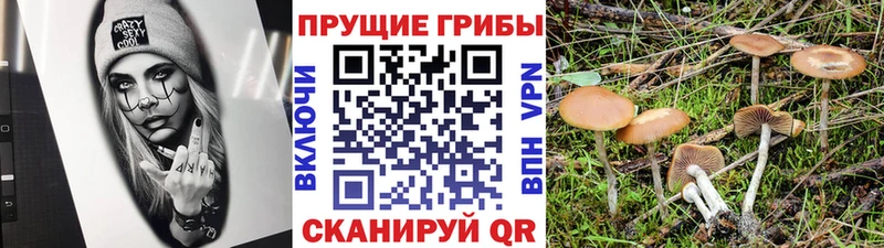 даркнет сайт  Саки  hydra сайт  Галлюциногенные грибы прущие грибы 