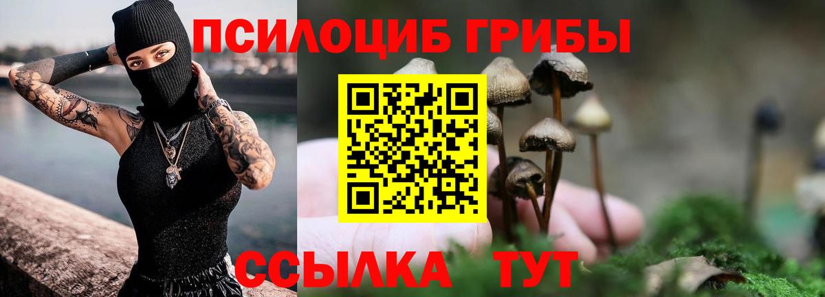 Галлюциногенные грибы GOLDEN TEACHER Саки